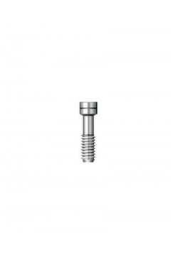 Винт фиксации абатмента (Abutment screw) (SSC 2008)