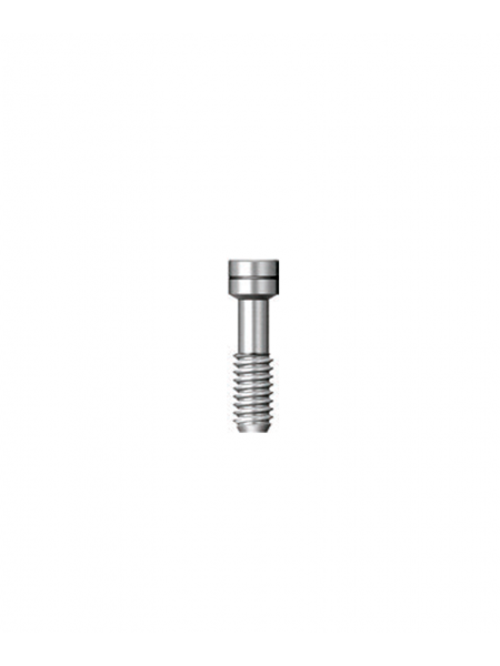 Винт фиксации абатмента (Abutment screw) (SSC 2008) Винт фиксации абатмента (Abutment screw) (SSC 2008)