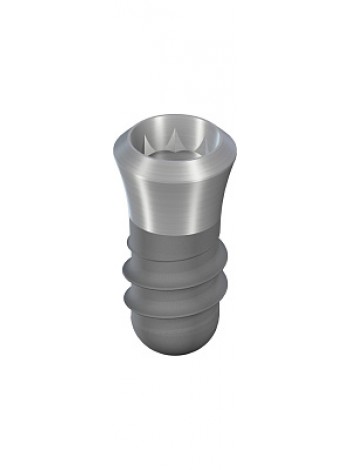 Имплантат Straumann S, RN Ø 4,1 мм, 6 мм, Roxolid®, SLActive®, Loxim
